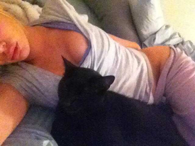 Riley Steele, Cat, Kitten, Bed, Mrblack, In Bed, Kitty, Black Kitten, Sleepy, Pet Riley