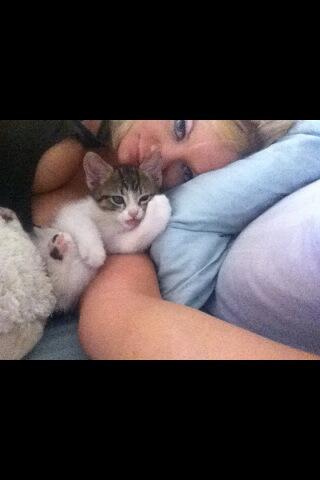 Riley Steele, Boobs, Cat, Kitten, Home, Cute, Littles, Kitty