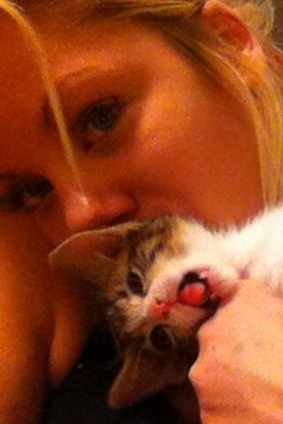Riley Steele, Cat, Kitten, Face, Sexy, Littles, Kitty, Cats, Meow