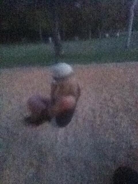 Riley Steele, Selfpic, Selfshot, Selfie, Swing, Seesaw, Teeterboard, Teeter-totter, Flip-flap, Street Photo
