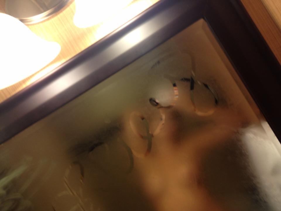 Riley Steele, Selfpic, Selfshot, Selfie, Wtf