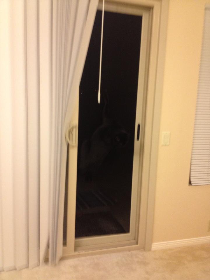 Riley Steele, Selfpic, Selfshot, Selfie, The Door