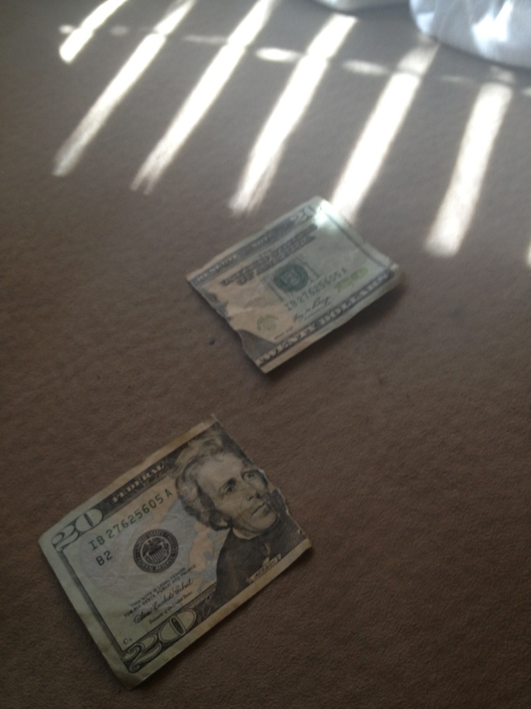 Riley Steele, Selfpic, Selfshot, Selfie, Money