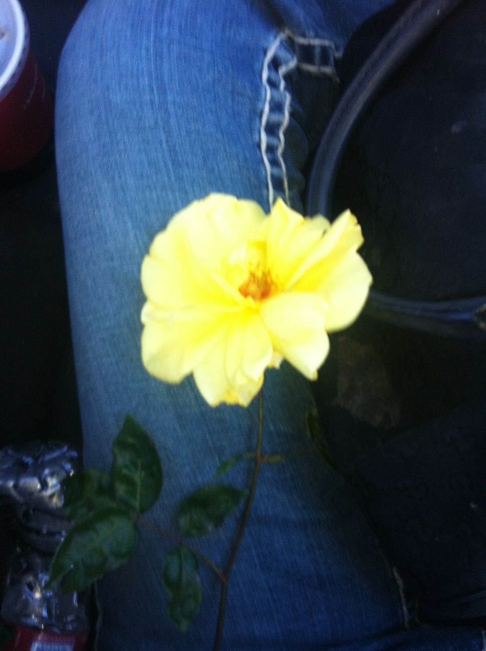 Riley Steele, Selfpic, Selfshot, Selfie, Flower