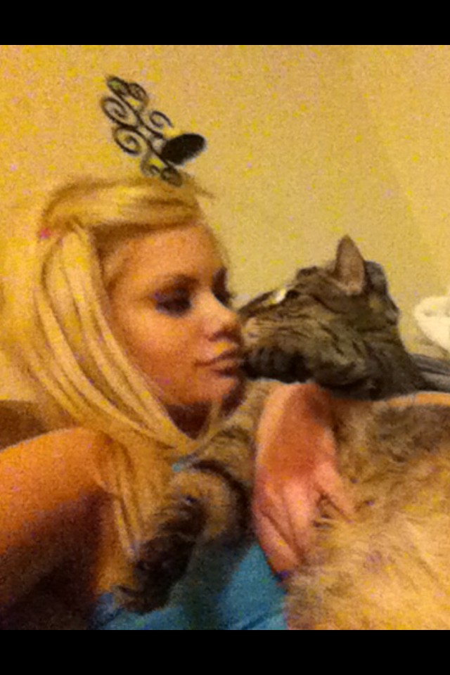 Riley Steele, Cat, Kitten, Kitty, Mrgray, Cats, Pet