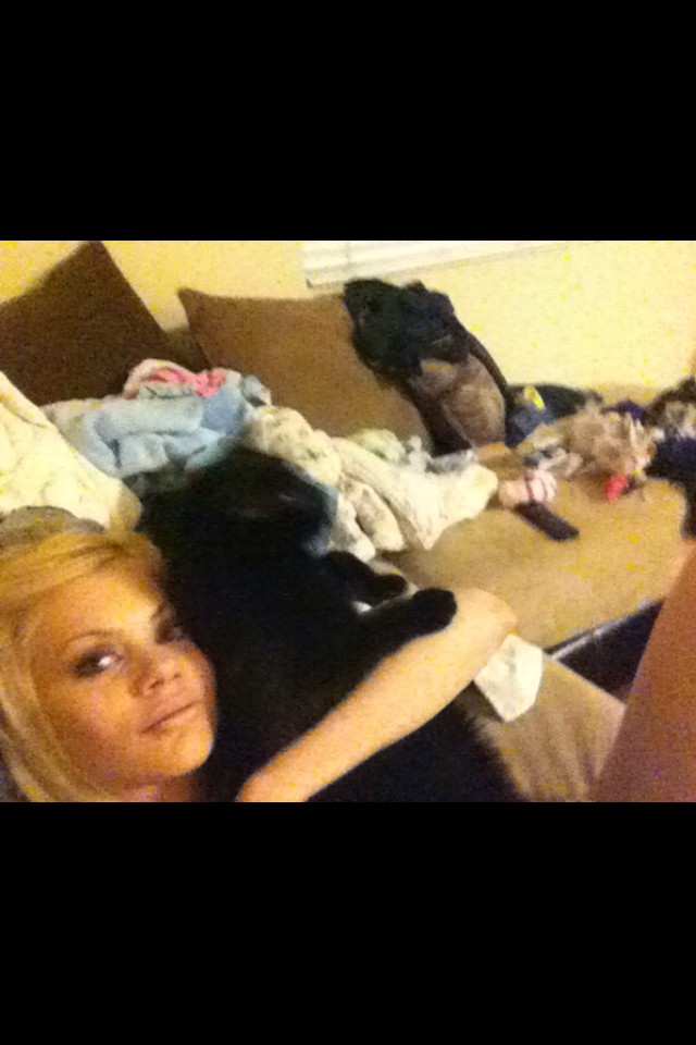 Riley Steele, Selfpic, Selfshot, Selfie, Cat, Kitten, Home, Mrblack, Cute, Kitty, Cats, Pet