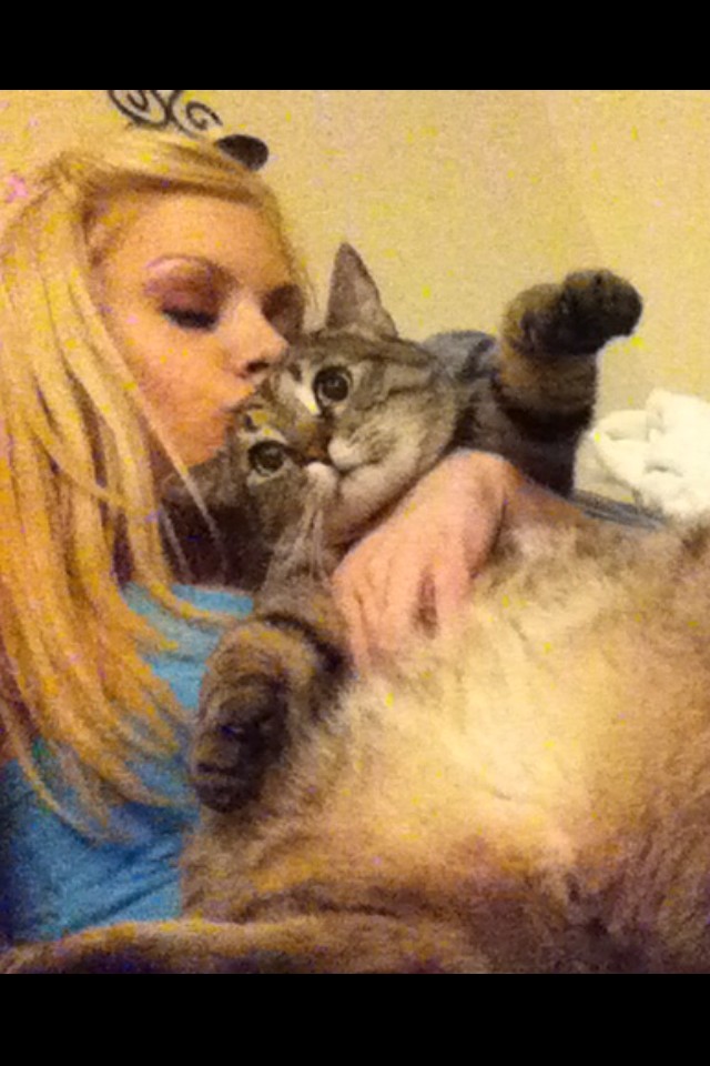 Riley Steele, Cat, Kitten, Kitty, Mrgray, Cats, Pet