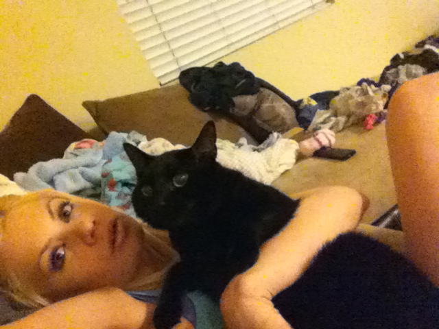 Riley Steele, Selfpic, Selfshot, Selfie, Cat, Kitten, Mrblack, Kitty, Cats, Pet