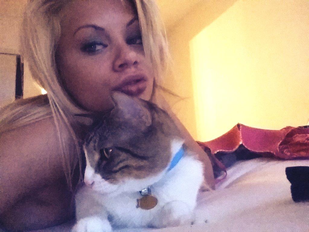 Riley Steele, Cat, Kitten, Home, Bed, Smile, Evening, Kitty, Mrgray
