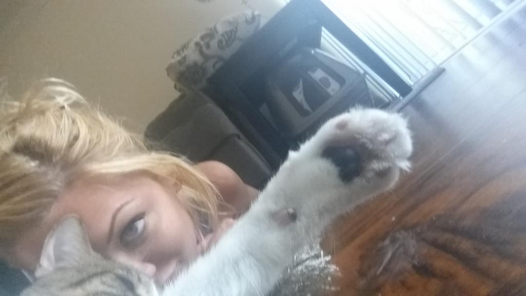 Riley Steele, Selfpic, Selfshot, Selfie, Cat, Kitten, Home, Mrgrey, Cute, Paw, Pet, With Cat