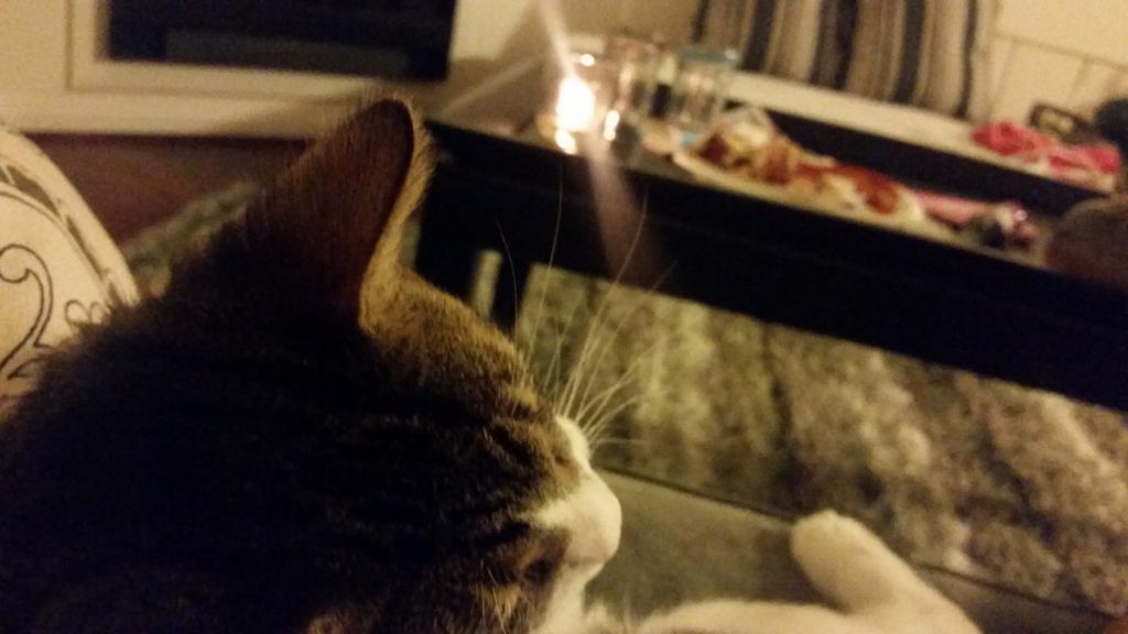 Riley Steele, Cat, Kitten, Littles, Kitty