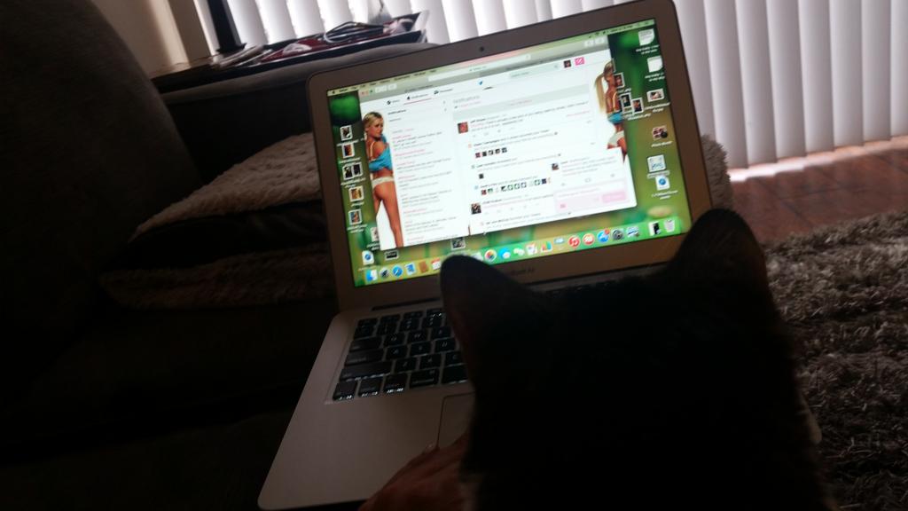 Riley Steele, Cat, Kitten, Littles, Kitty